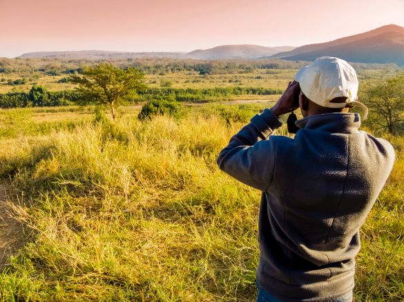 Man in the bush looking through binoculars